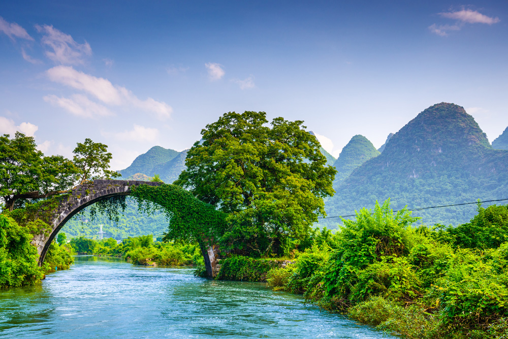 China Travel joy