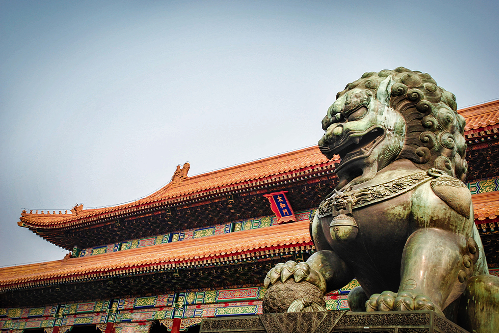 China Travel joy