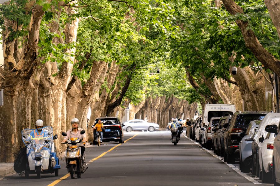 Zhujiajiao Ancient Town and Shanghai French Concession Private One Day Tour(with hotel pick-up and drop-off in downtown Shanghai)