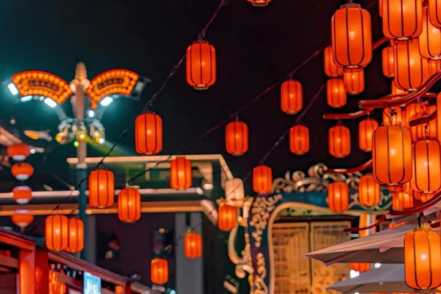 Private One-day  tour in Xi’an city, including Shaanxi History Museum, Tang costume experience, Tang Paradise, Datang Ever-bright city (with hotel pickup and drop-off service in Xi’an urban area)