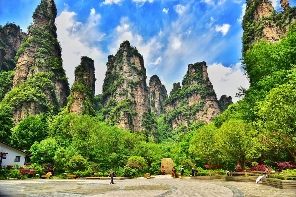 China Travel joy