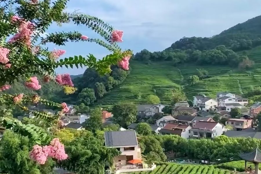 Shanghai 4-Days Private Tour